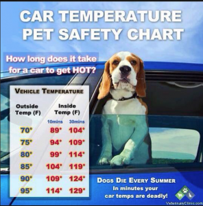 car-temperature-pet-safety-chart