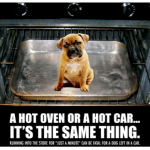 hot oven hot dog flyer